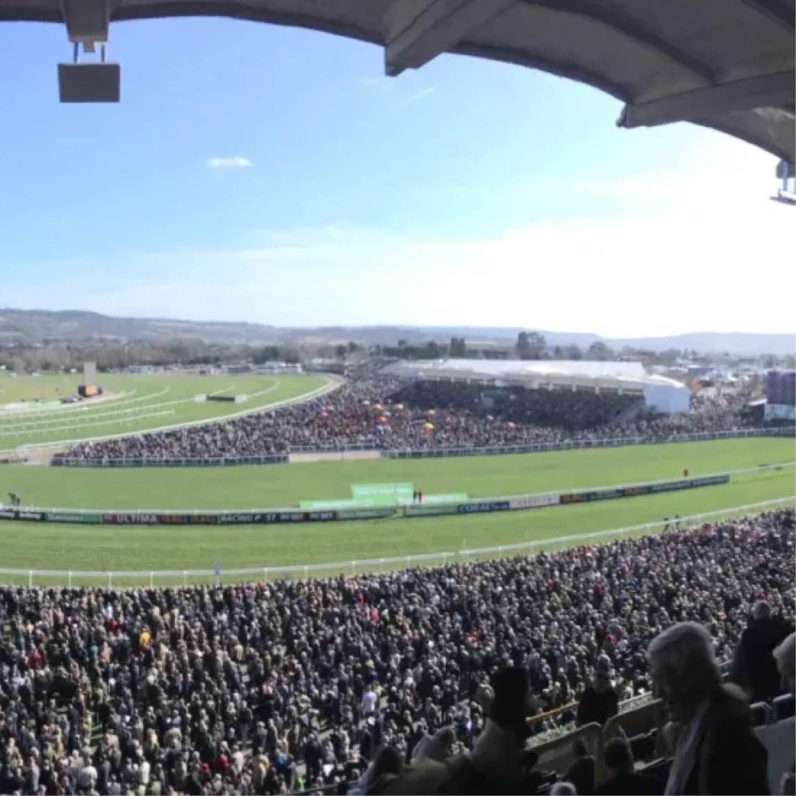 What Should You Wear to Cheltenham This Year?