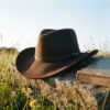 Brown Cowboy Hat